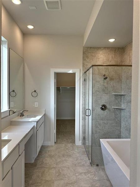 Stunning primary bath with a freestanding tub, walk in closet and a vanity area!