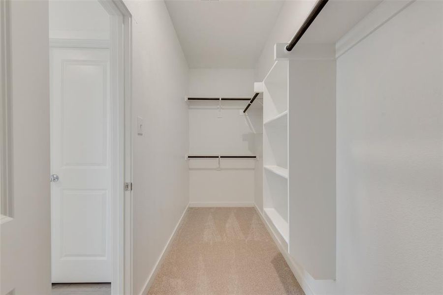 Walk in closet with light colored carpet