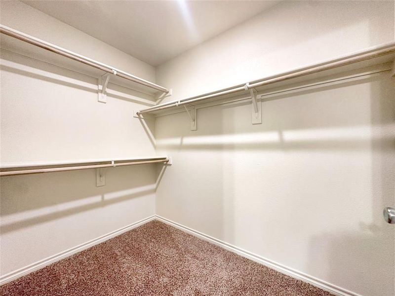 Spacious closet featuring carpet floors