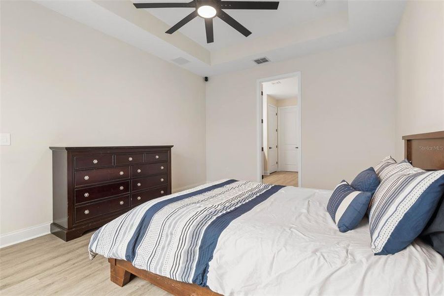 Primary Bedroom Suite with Tray Ceilings