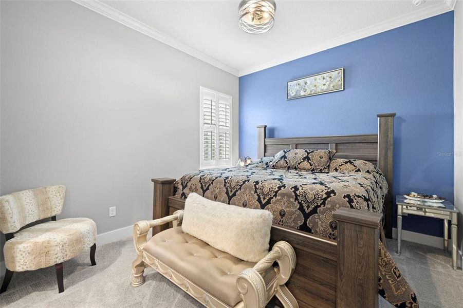 2nd Bedroom With Walk-in Closet, Crown Molding & Plantation Shutters