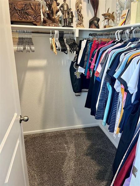 Spacious closet with carpet