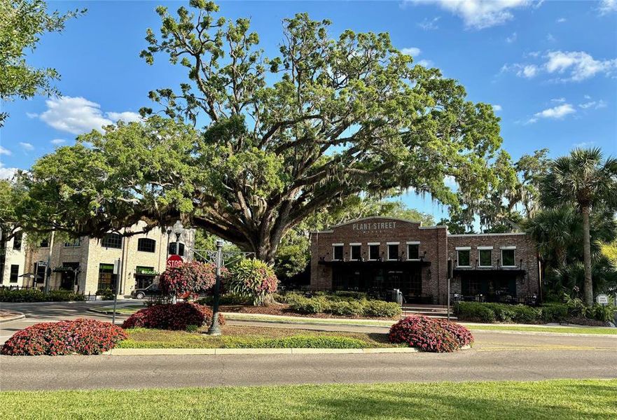 Downtown Winter Garden