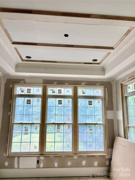 Tray ceiling details & expansive windows in the dining area