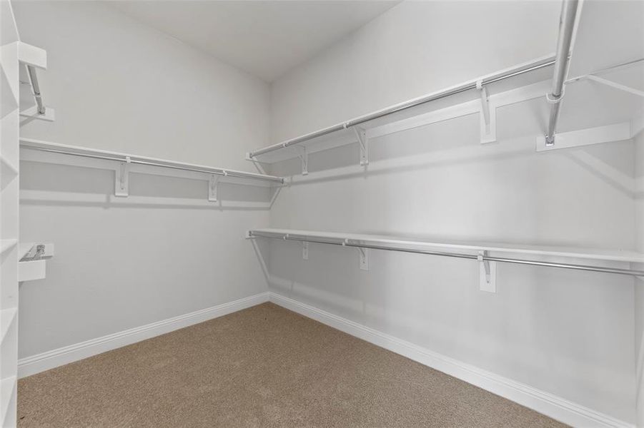 Walk in closet featuring carpet