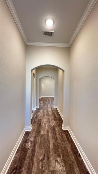 Hallway featuring ornamental molding and dark hardwood / wood-style floors