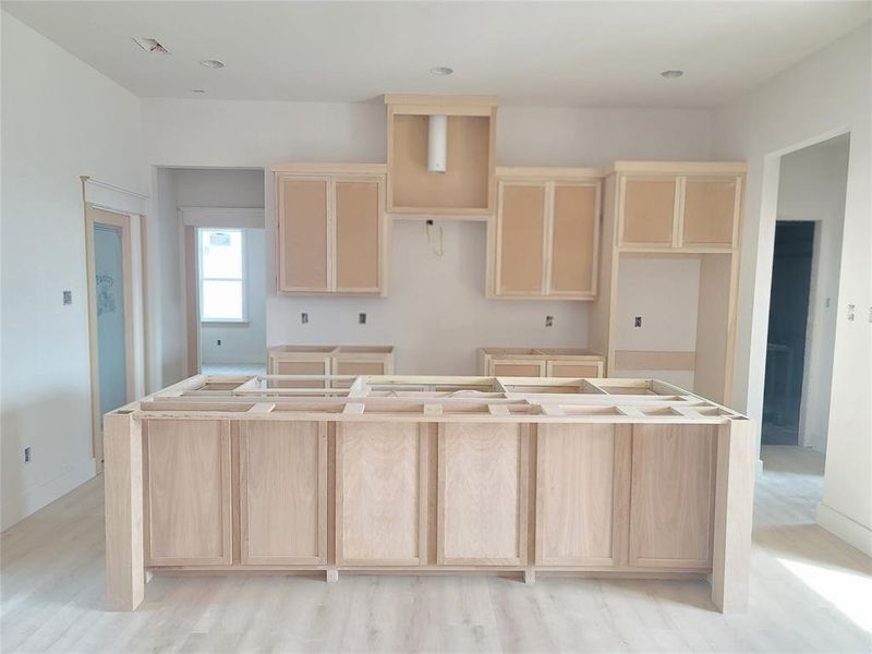 Gourmet Kitchen featuring light luxury plank hardwood / wood-style flooring, a center island, going to paint white cabinets, and stainless steel appliances