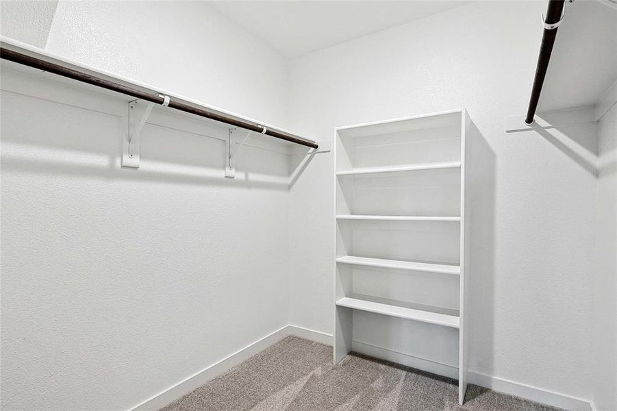 Walk in closet with carpet floors