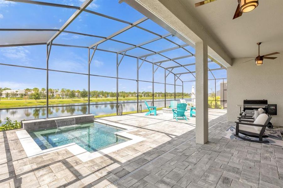 Screen covered pool/Spa