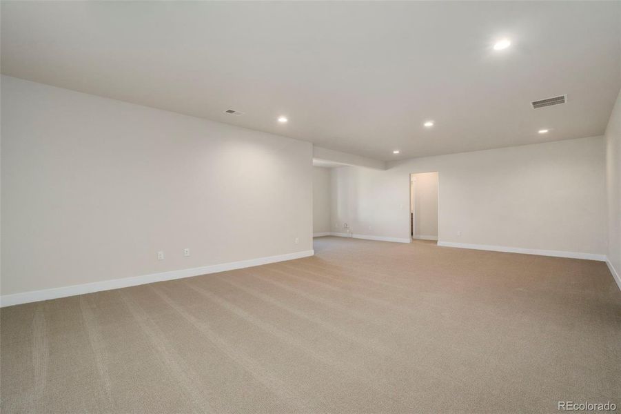 Large Rec Room in Basement