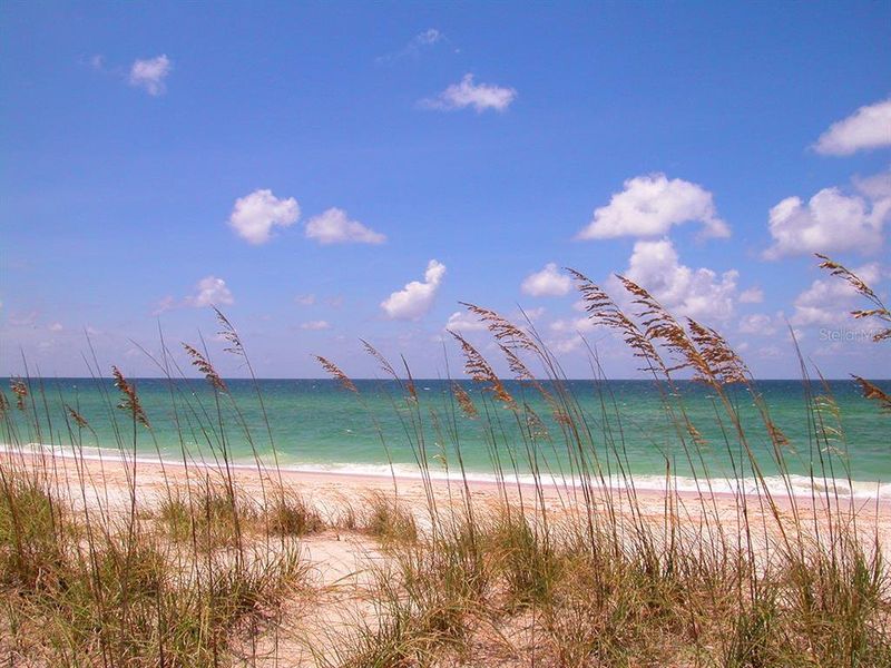 Dreamy Siesta Key beach beckons!