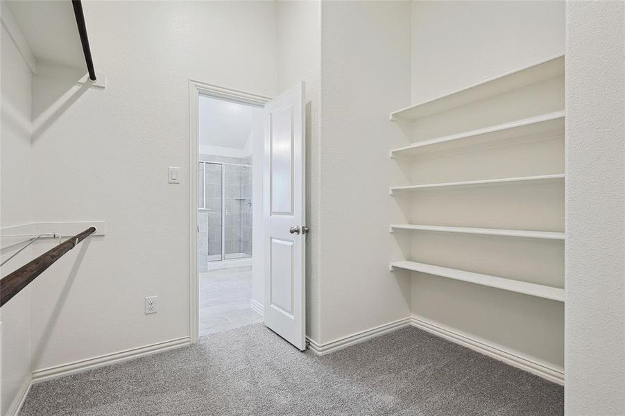 Spacious closet with light carpet