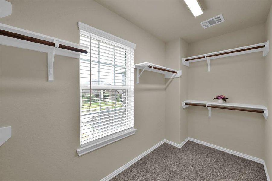 This is a clean, well-lit walk-in closet featuring multiple white shelves with wooden rods, a window with blinds for natural light, and carpeted flooring.