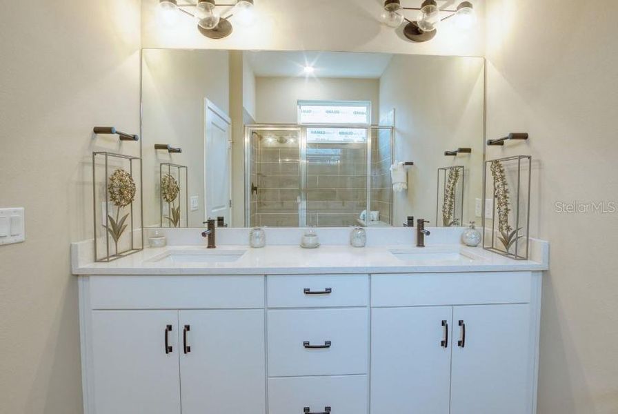 Master Bath Vanity Sinks