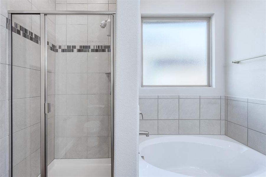 Stand Alone Shower and Soaking Tub