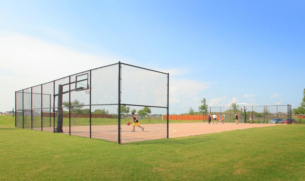 Basketball Court