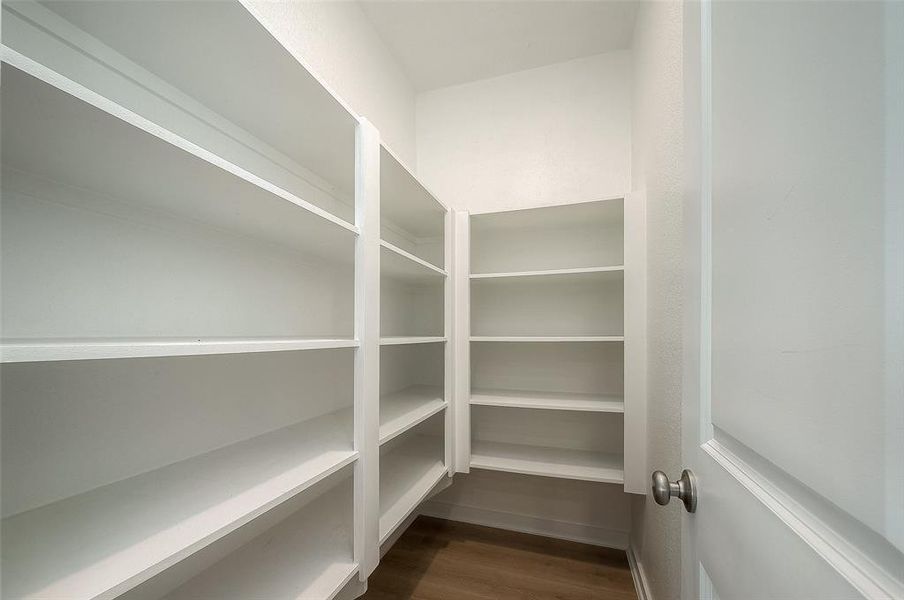 Large walk-in pantry off of the kitchen.
