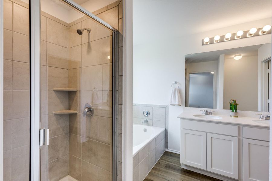 Walk in shower , soaker tub and double vanity sinks