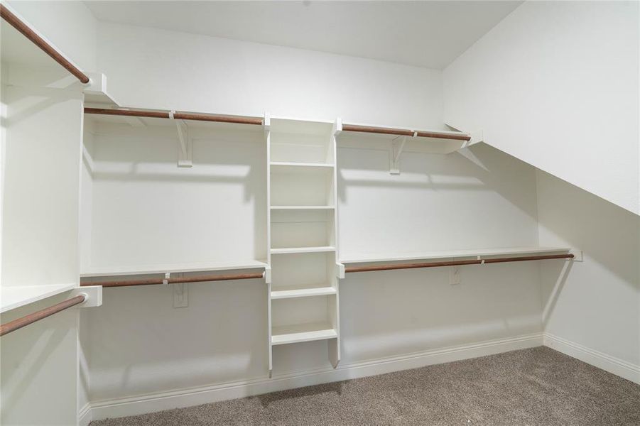 Spacious closet featuring carpet