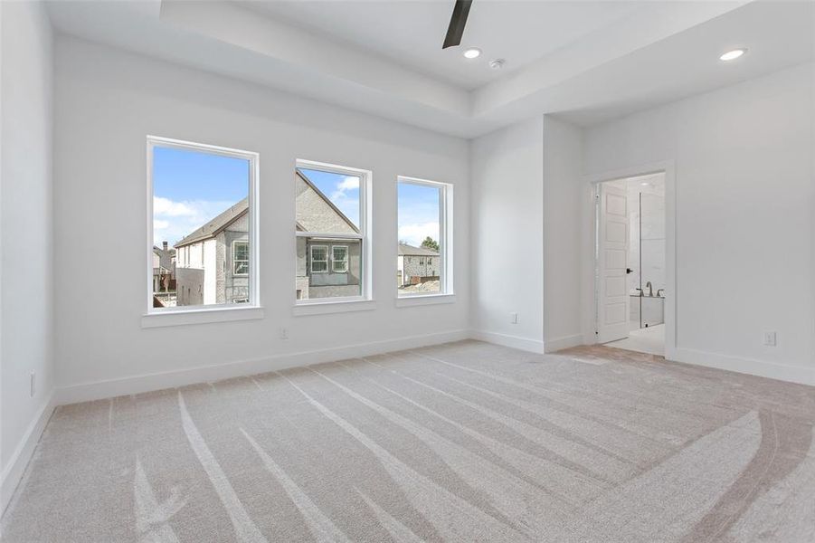 Unfurnished room with a raised ceiling and light colored carpet