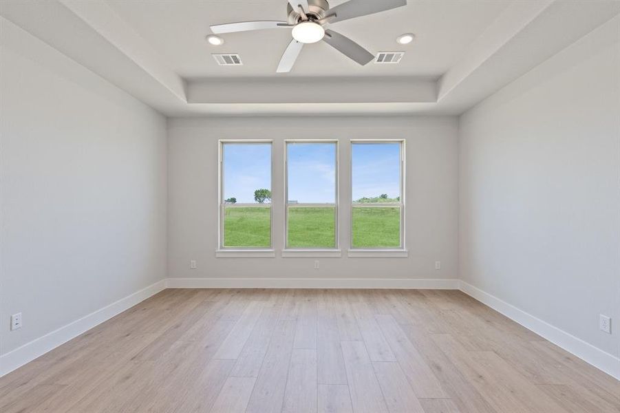Unfurnished room featuring light hardwood / wood-style flooring, ceiling fan, and a raised ceiling