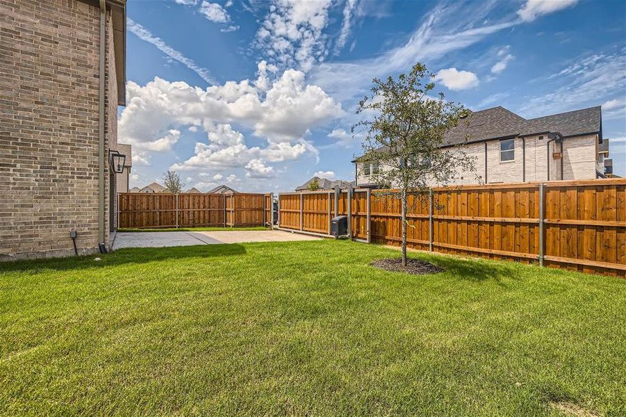 Backyard with electric gate entry