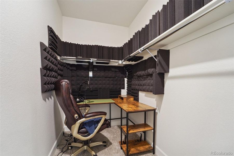 Basement Bedroom 1 Walk in Closet