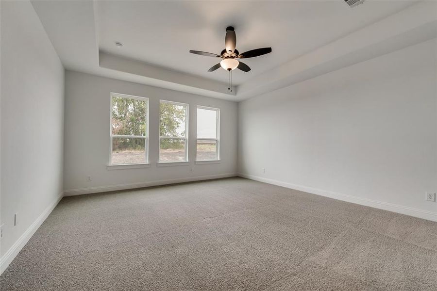 Spare room with carpet, ceiling fan, and a tray ceiling