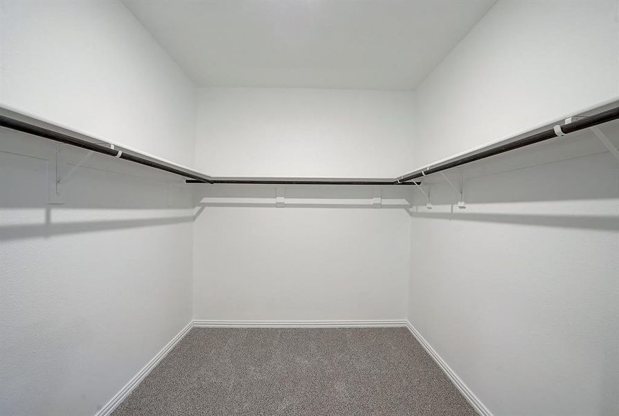 Walk in closet featuring carpet