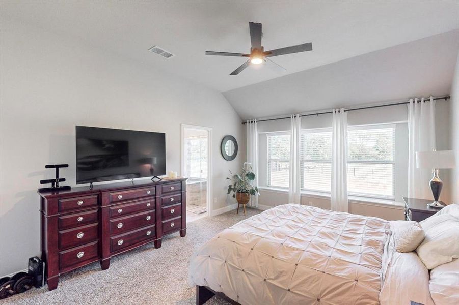 Carpeted bedroom featuring ensuite bath, ceiling fan, and vaulted ceiling