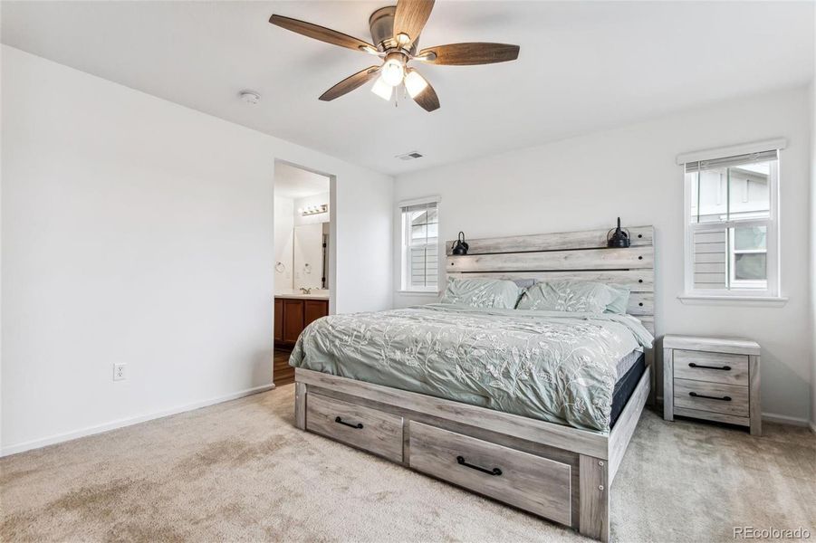 Huge Primary Bedroom with carpet, fan and lots of natural light