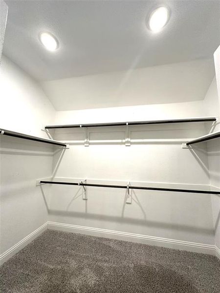 Walk in closet featuring carpet flooring and vaulted ceiling