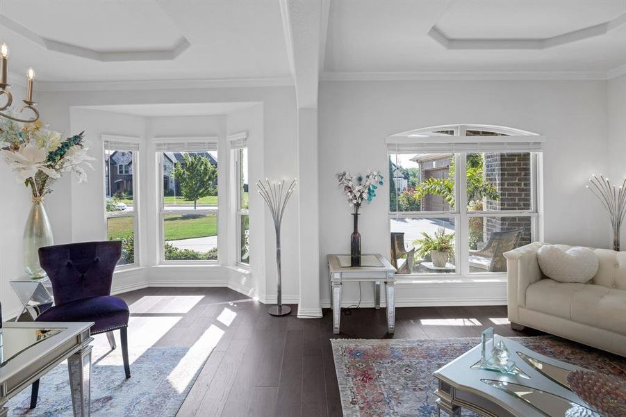 Living room featuring ornamental molding, dark hardwood / wood-style flooring, and a tray ceiling