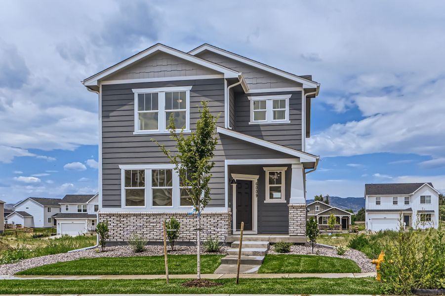 New construction Single-Family house 6009 Flying Mallard Drive, Fort Collins, CO 80528 Pine- photo