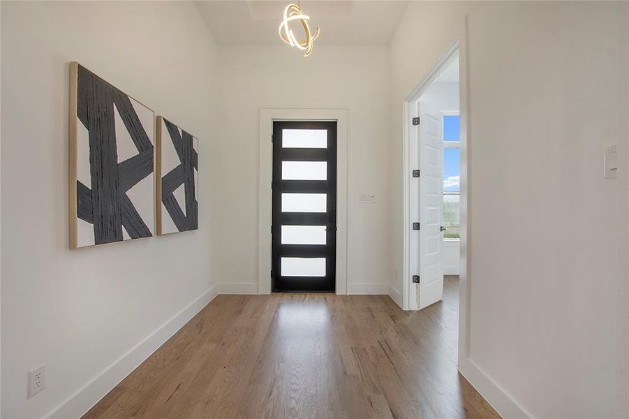 Entrance foyer featuring wood-type flooring