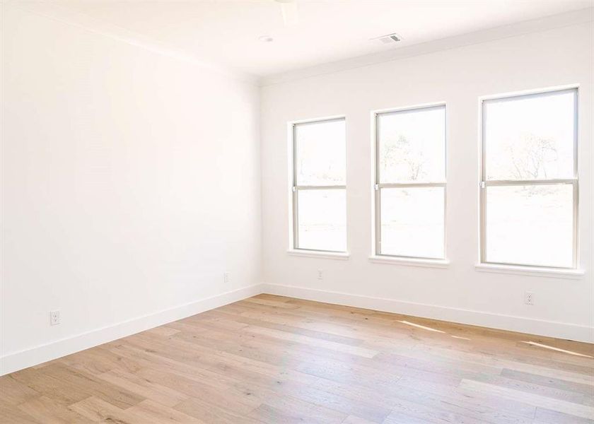 Unfurnished room featuring crown molding and light hardwood / wood-style floors