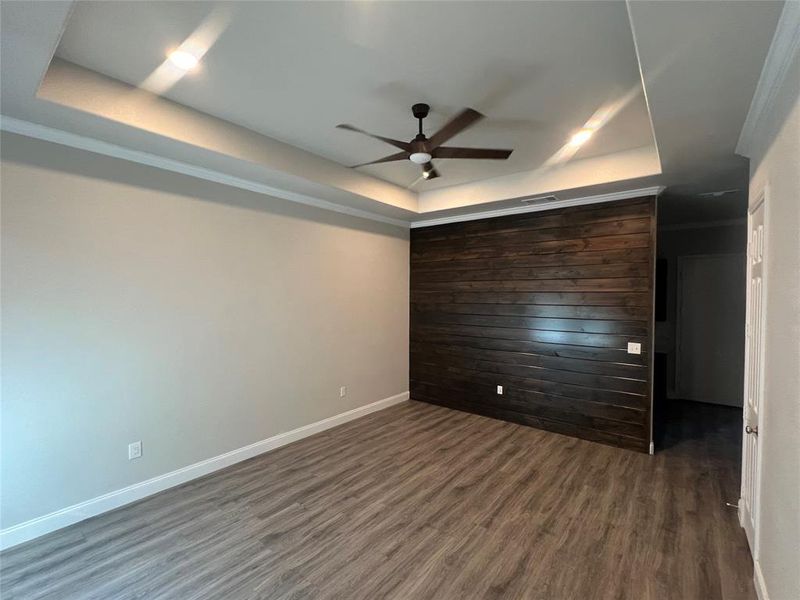 Spare room featuring a raised ceiling, dark hardwood / wood-style floors, and ceiling fan