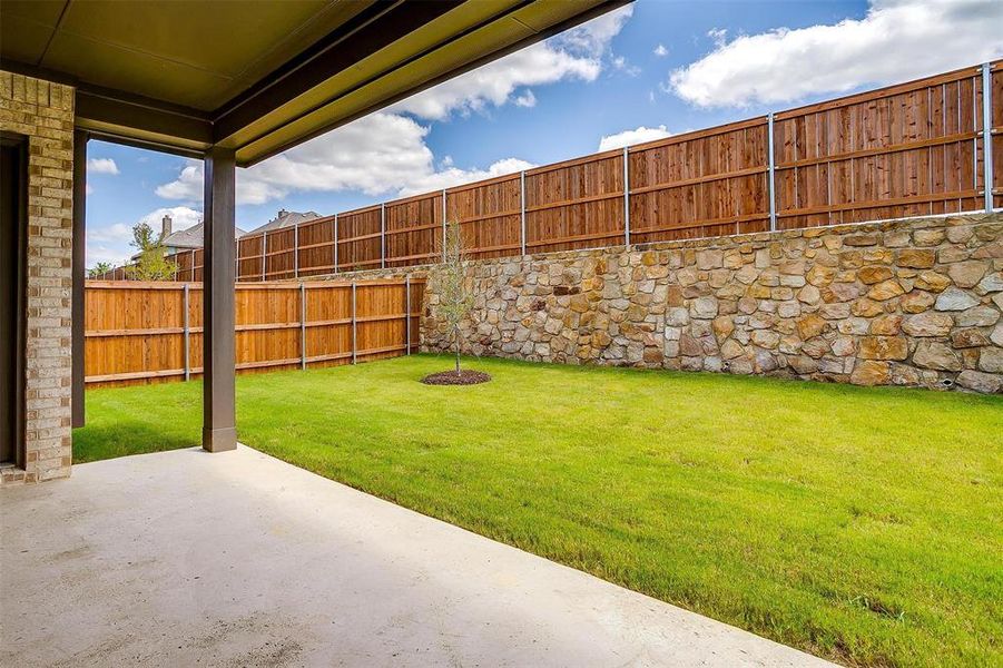 View of yard featuring a patio