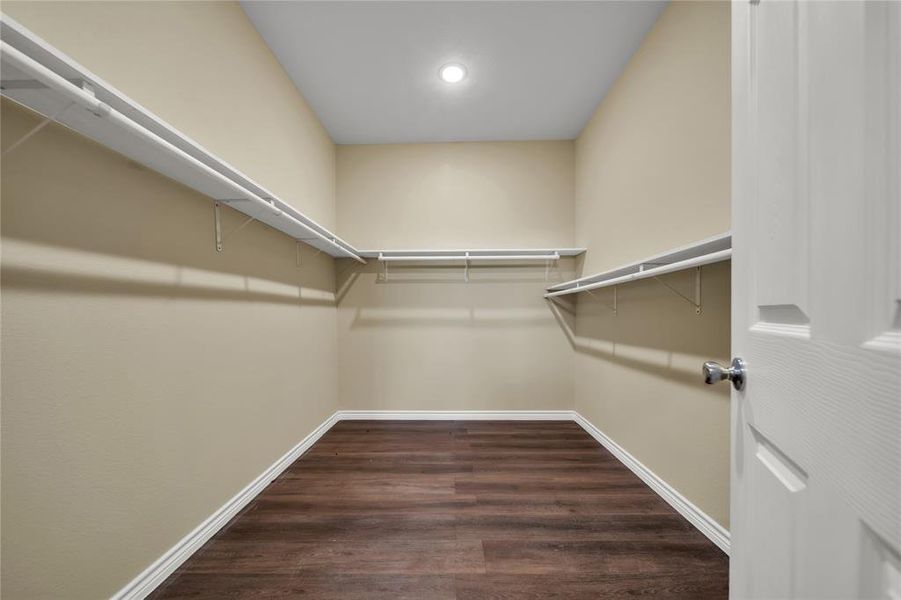 Spacious closet featuring hardwood / wood-style flooring
