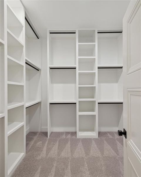 Walk in closet with light carpet