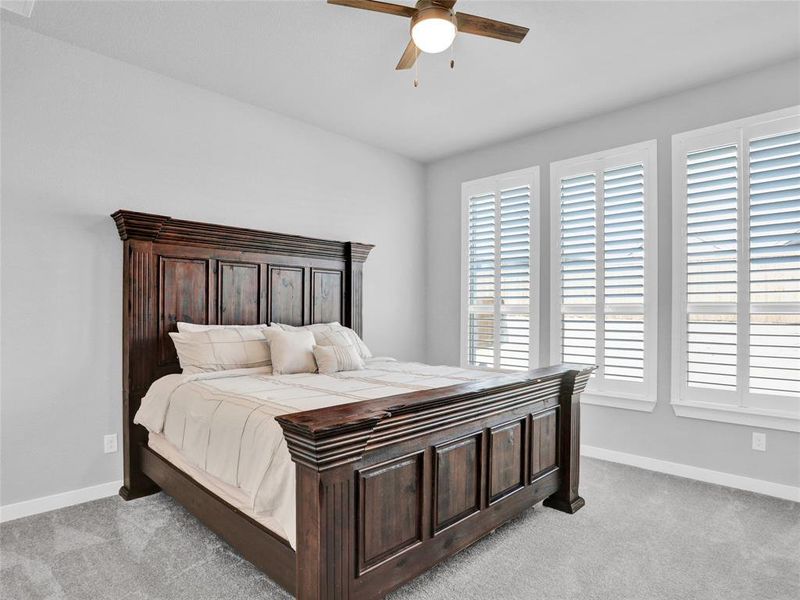 Spacious primary suite with a wall of windows (& plantation shutters!)