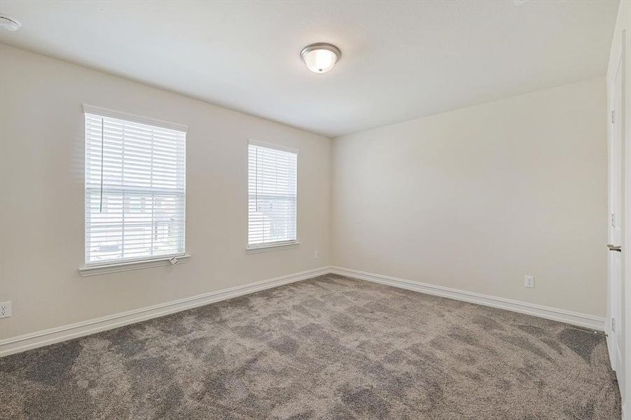 Spare room featuring a wealth of natural light and carpet floors