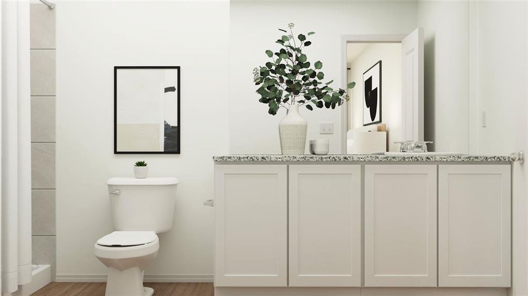 Bathroom with vanity, toilet, and wood-type flooring