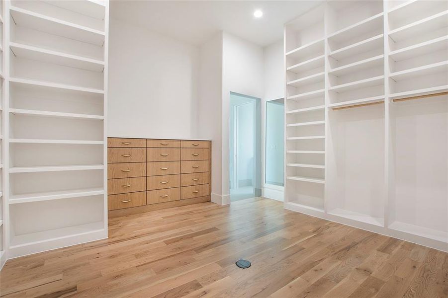 Spacious closet with hardwood / wood-style floors