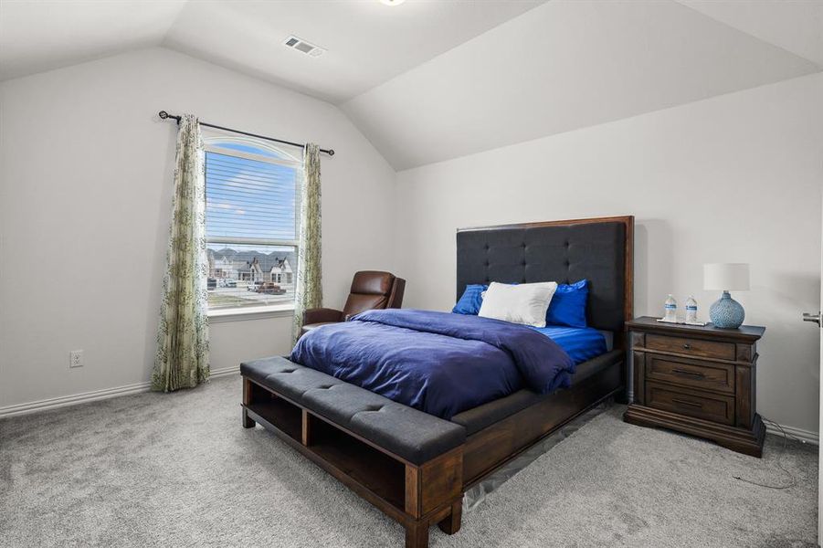 Carpeted bedroom with lofted ceiling