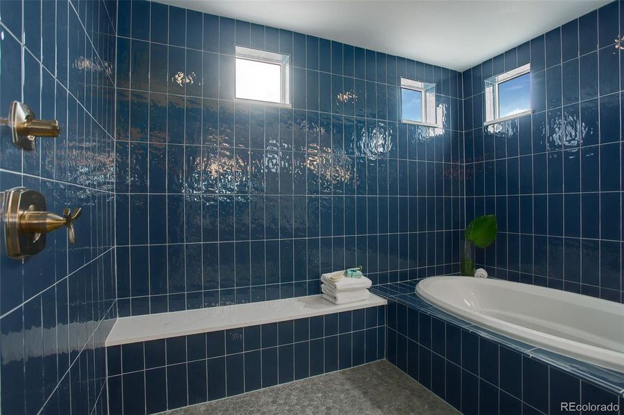 Primary bath: Overiszed shower with tub