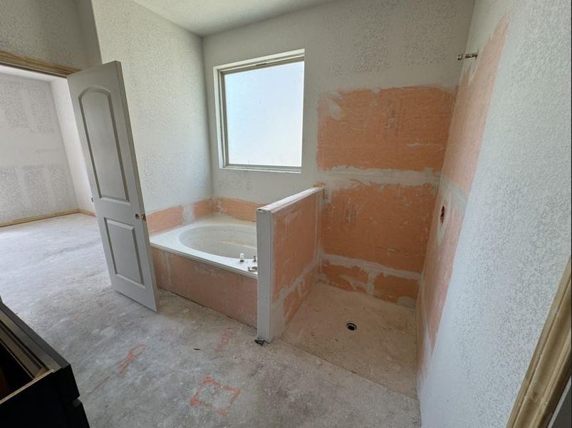 luxury bath garden tub and shower