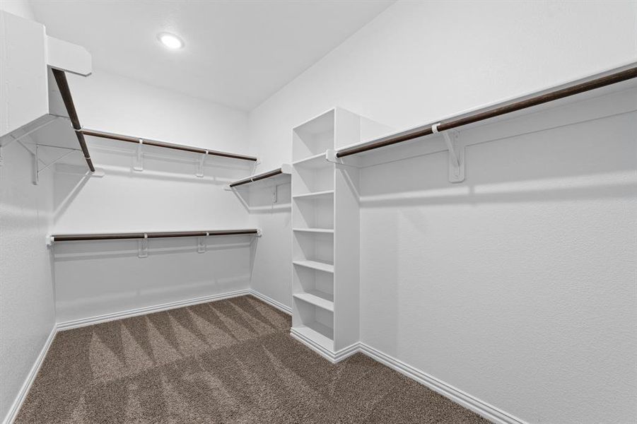 Spacious closet with dark carpet