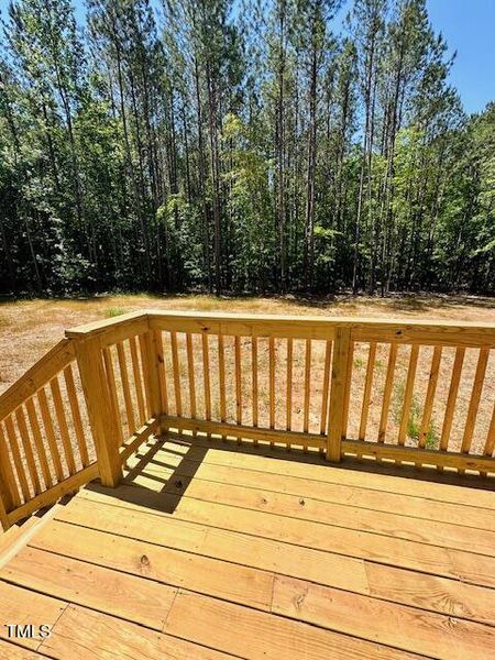 Back Deck and Back Yard