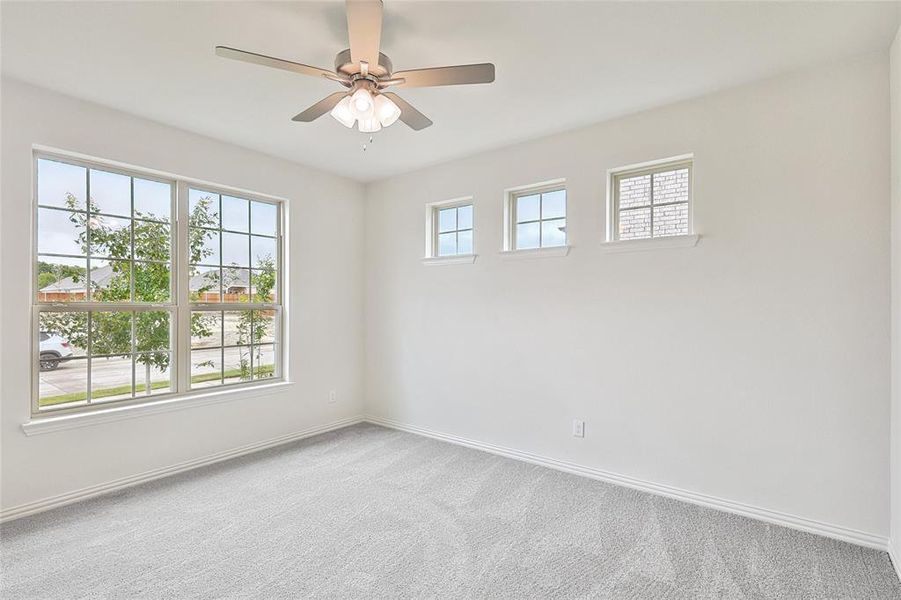 Spare room featuring plenty of natural light, ceiling fan, and carpet